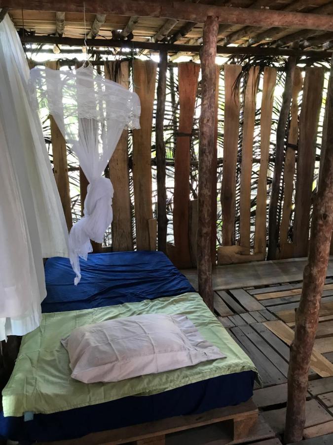 Miguel Surf Camp Ξενοδοχείο Quepos Εξωτερικό φωτογραφία