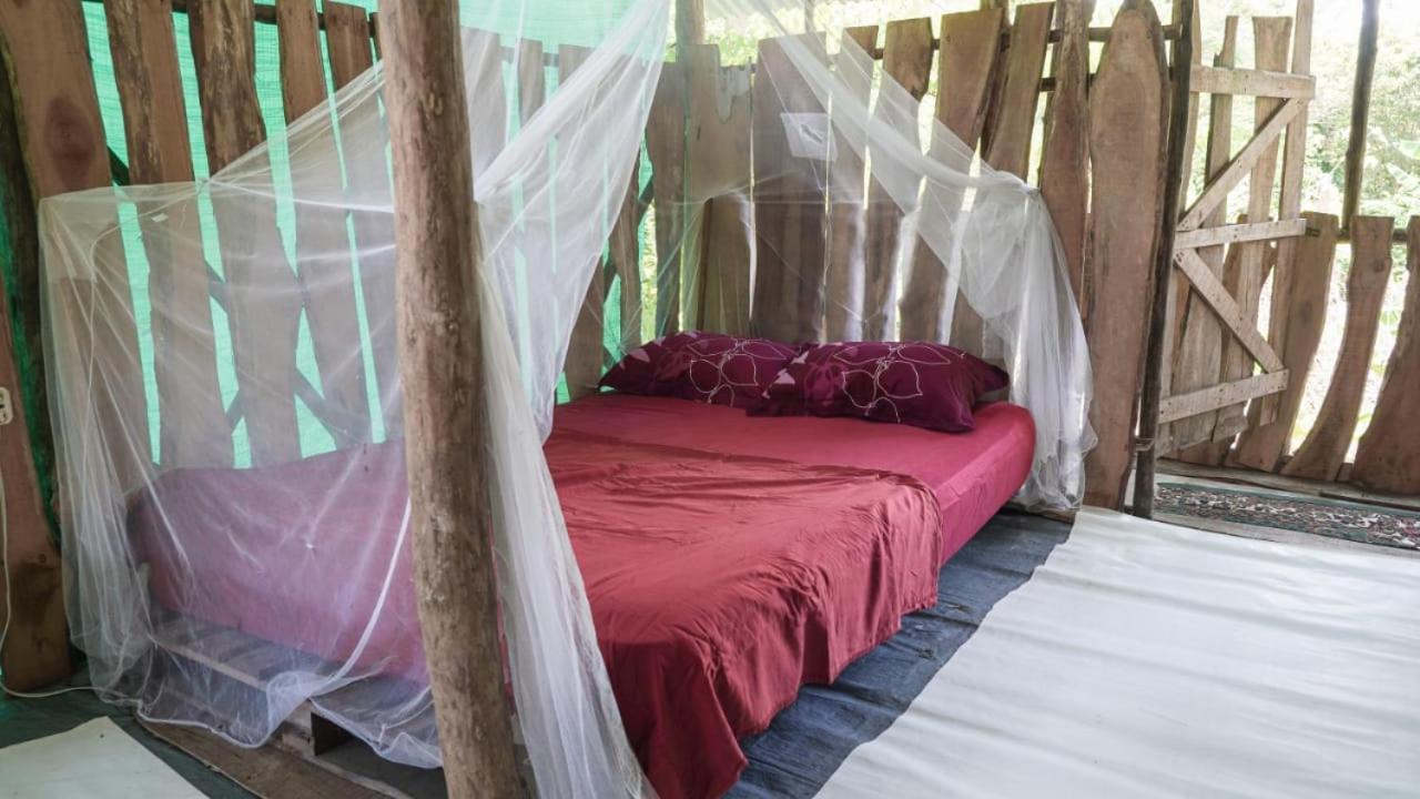 Miguel Surf Camp Ξενοδοχείο Quepos Εξωτερικό φωτογραφία