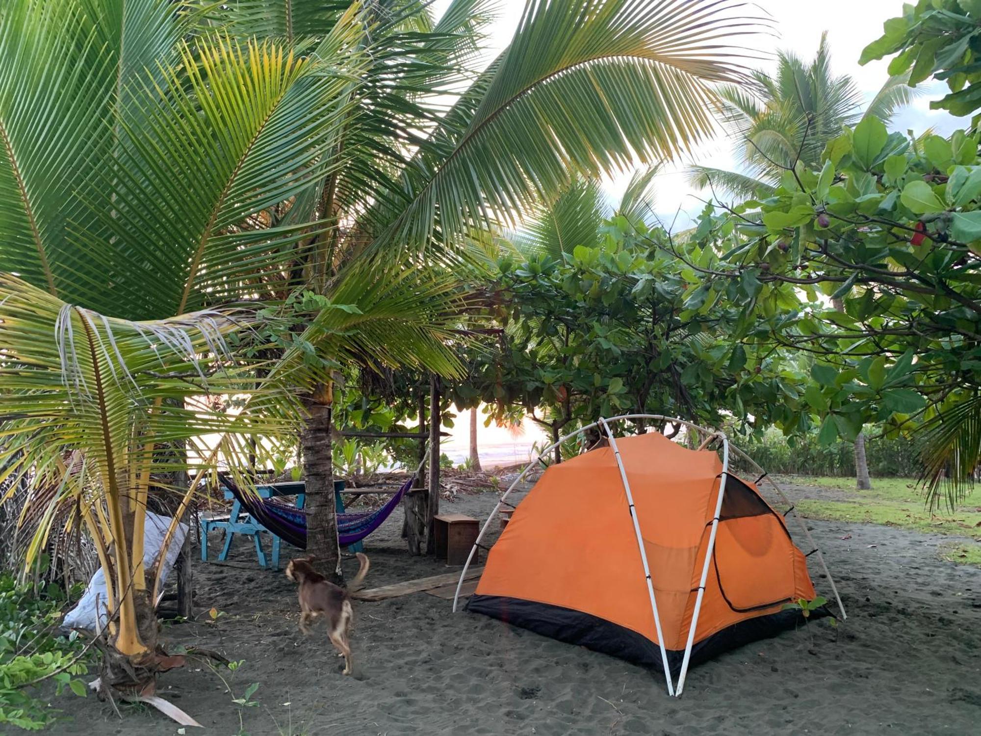 Miguel Surf Camp Ξενοδοχείο Quepos Εξωτερικό φωτογραφία